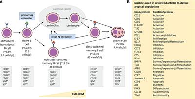 Frontiers | B-Cell Immunophenotyping To Predict Vaccination Outcome In ...